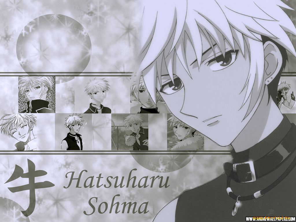 , fruits, basket